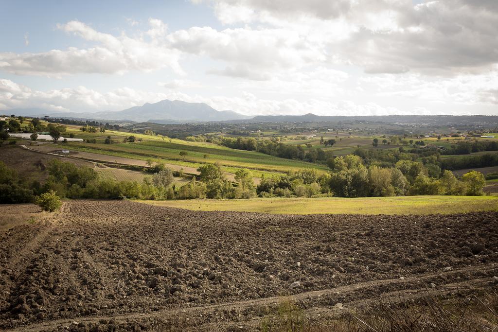 Agriturismo Villa Luisa Apice Εξωτερικό φωτογραφία